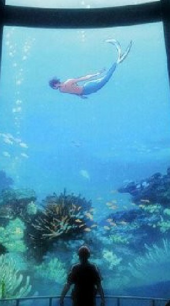free!男子游泳部