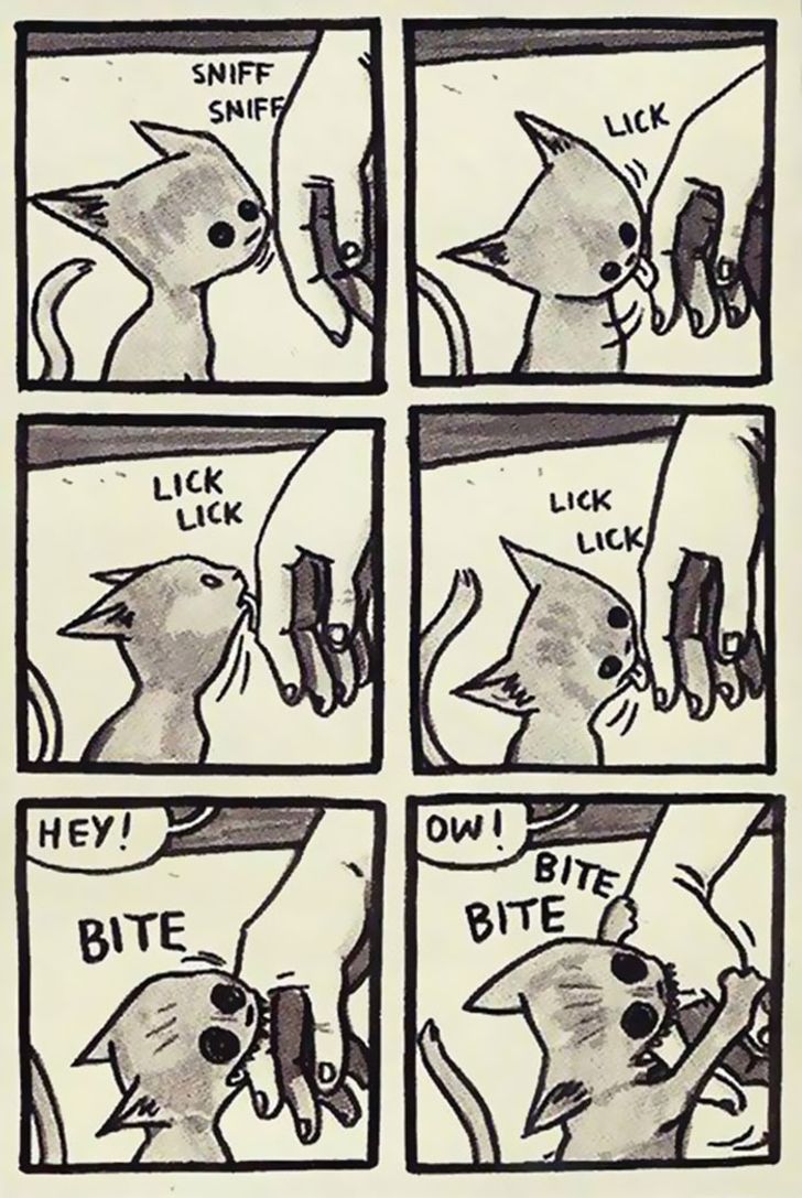 貓奴們必懂！20張與貓生活日常漫畫：半夜不睡覺，早上吃罐罐！