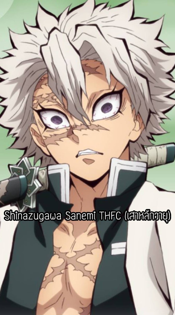 Shinazugawa Sanemi THFC [เสาหลักวายุ]