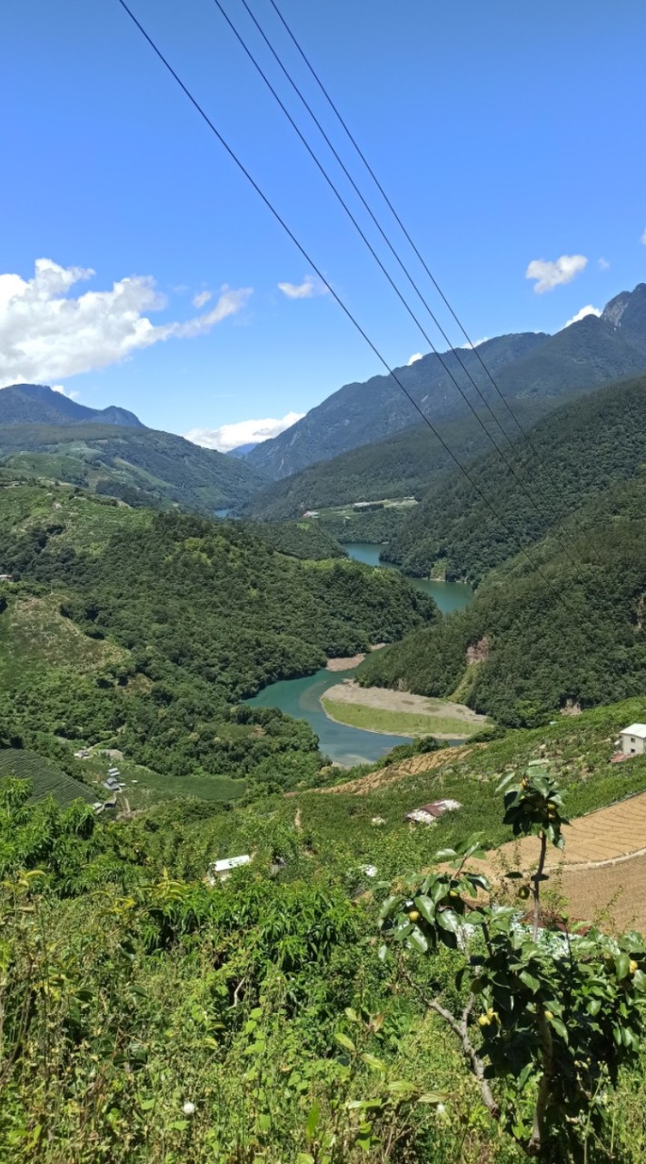 旅3黃金屋