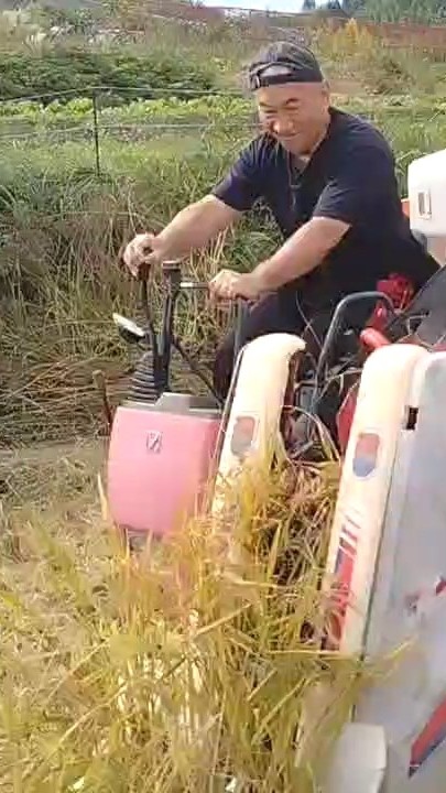 Ｚｕちゃん プチふぁー夢