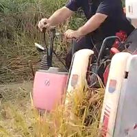 Ｚｕちゃん プチふぁー夢