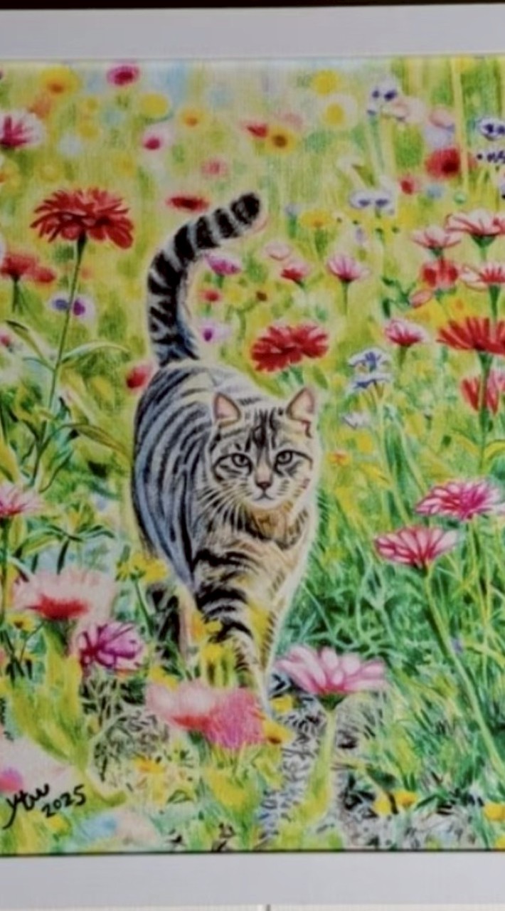 股市訊息分享＆討論