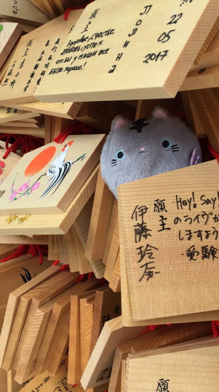韋遠