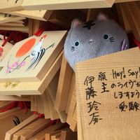 韋遠