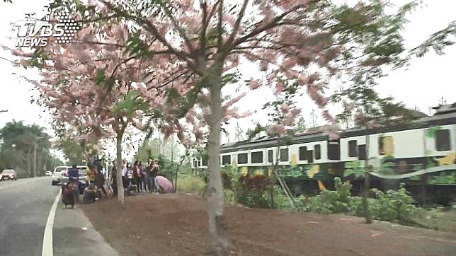 疑闖鐵道賞花！　集集列車急煞撞5歲童