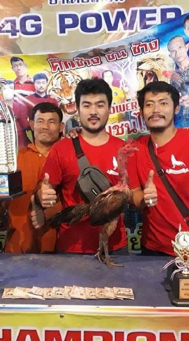 สหสินฟาร์ม