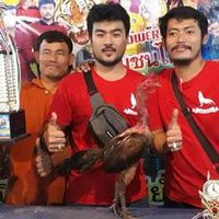 สหสินฟาร์ม