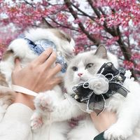 茶米茶｜團購、二手、代買群✨