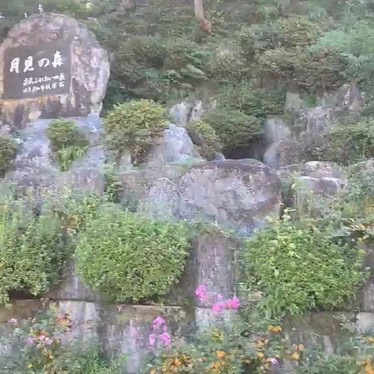 月見の森のundefinedに実際訪問訪問したユーザーunknownさんが新しく投稿した新着口コミの写真