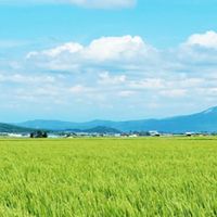 【スキーポン（Skeepon）】友の会