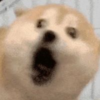 おのいったってらー、たららーらいったっちー　ナ　全緩緩緩緩 ᕼᑌᑎT ⁉️⁉️⁉️⁉️