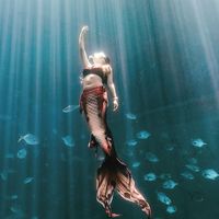 水舞人魚潛水課程