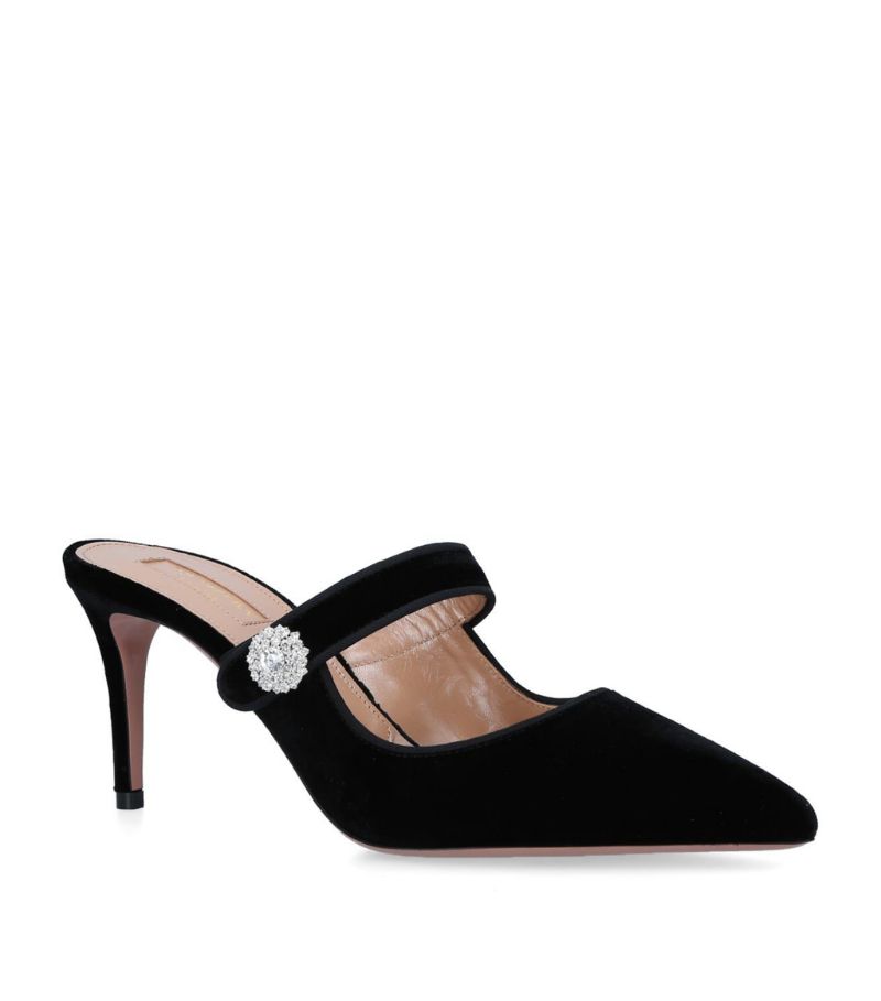 Aquazzura Velvet Astor Mules 75