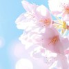 恋愛雑談乗ってあげるよん( ∩ •  ̫• )⊃❤︎♪100人目指しています♪