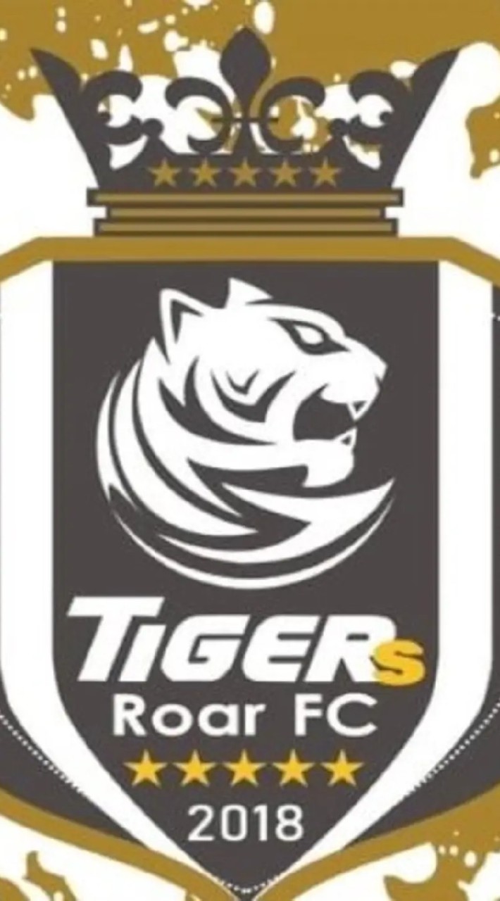 虎嘯足球俱樂部Tigers Roar