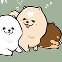 台北ㄉ博美們！衝鴨！