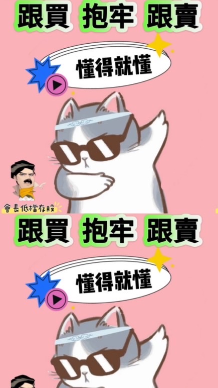 會漲股-雅琪會長低檔存股小群