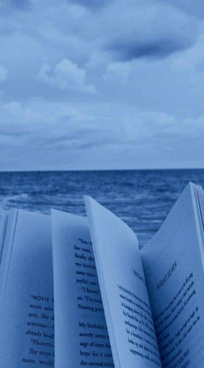 ⋆. 𐙚˚࿔ 潮汐𝜗𝜚˚⋆小天地˚.🎀༘⋆