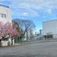 筑附生集合〜
