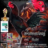 ณรงค์ชัย ฟาร์ม