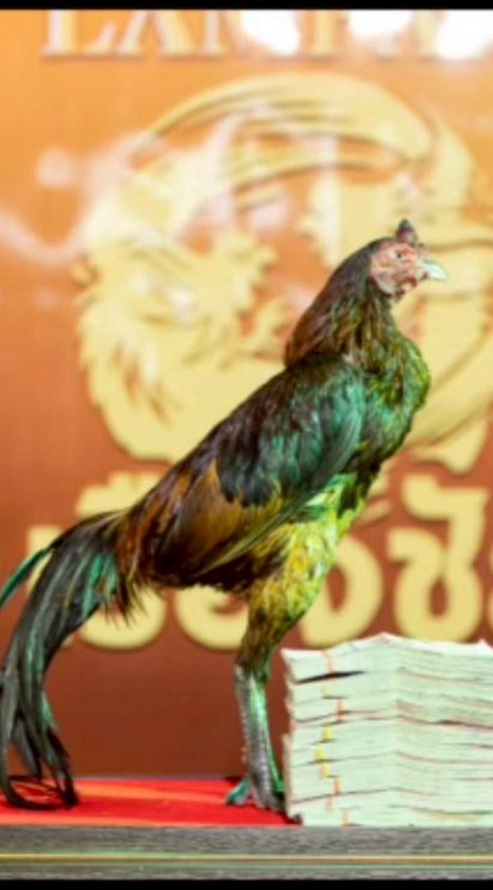 ส.ส่งสุข