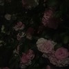 【 原神也 】最愛・友達が作れる⁉️ 超激緩原神nrkrハントオプ ‼️