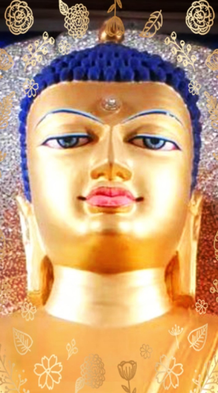🪷 精進菩提迴向群 ☸️✨️