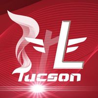桃園TucsonL群