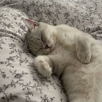 Apr21｜代購群