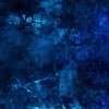 無名音楽サークル！