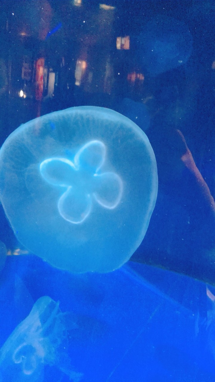 Soy!!のオープンチャット