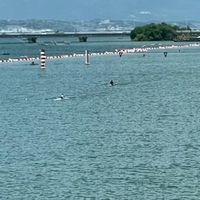 ７８回滋賀県民スポーツ大会（成年の部）国スポ選考会　２０２５年６月８日