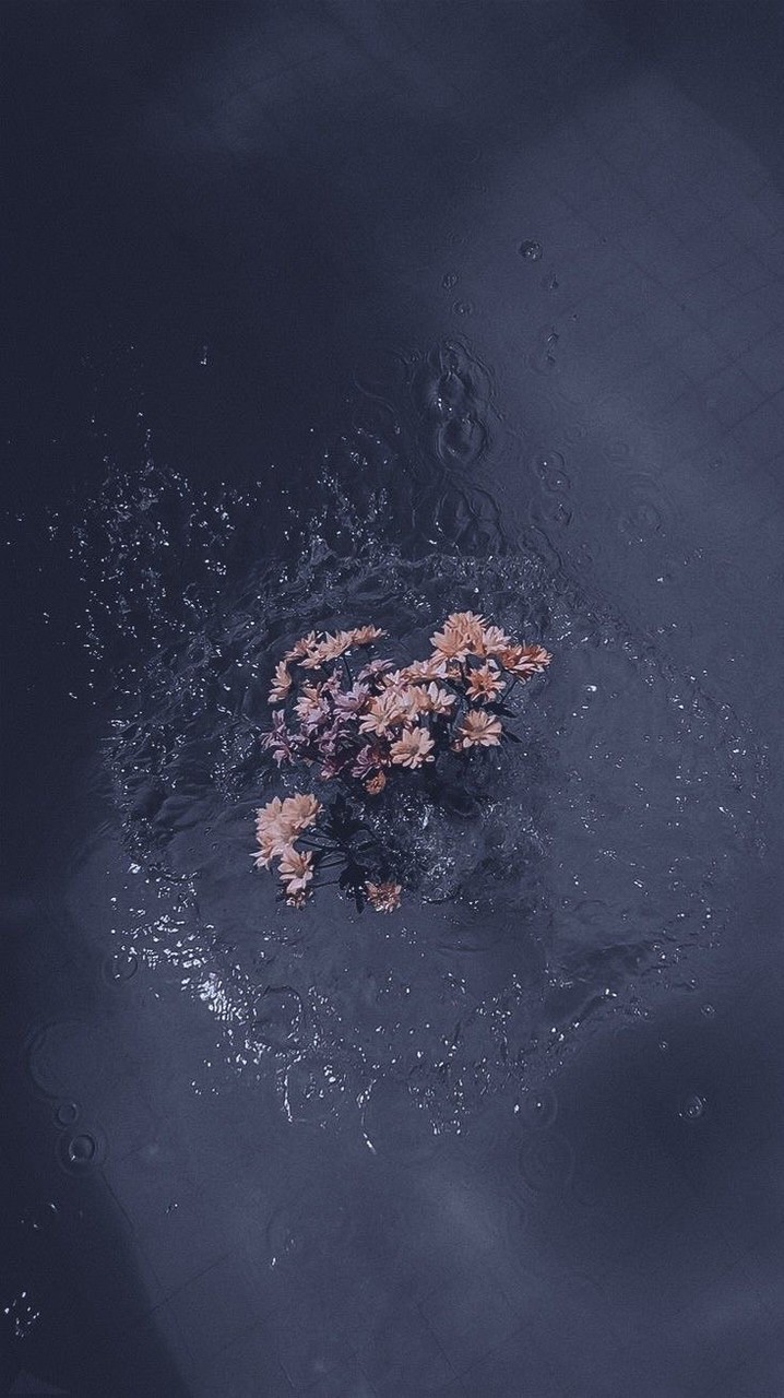 呼んでいいかな；全緩也