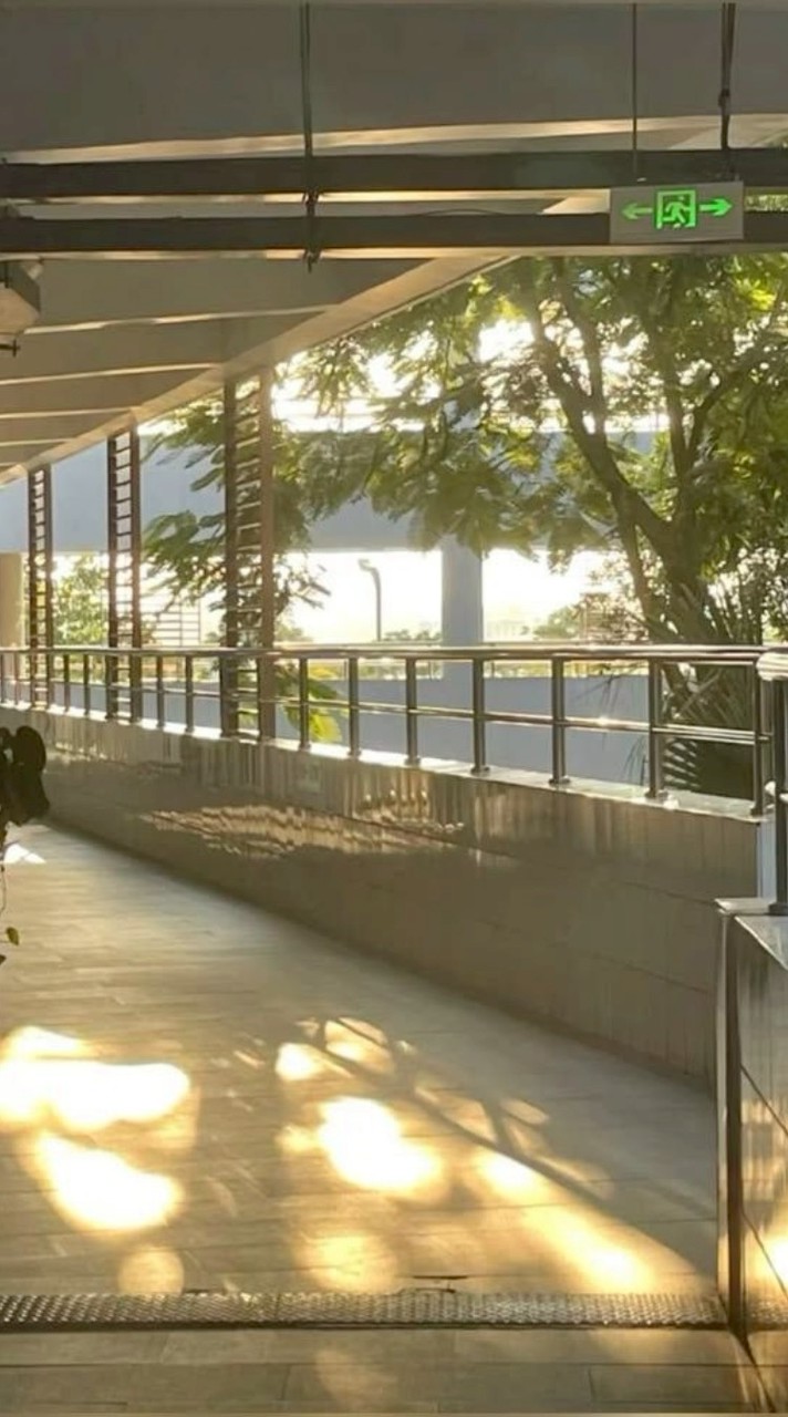 โรงเรียน ชิราคาวะ (รวมด้อม)