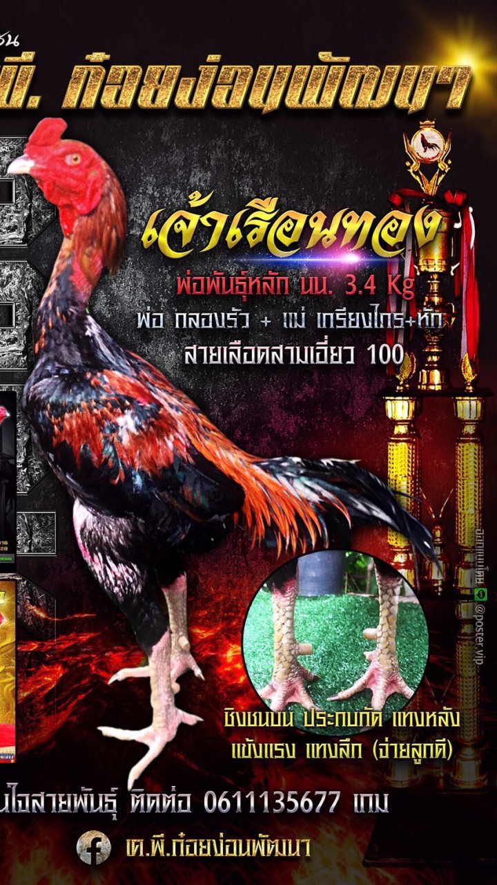 ซุ้ม เค.พี.ก๋อยง่อนพัฒนา