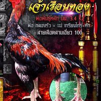 ซุ้ม เค.พี.ก๋อยง่อนพัฒนา