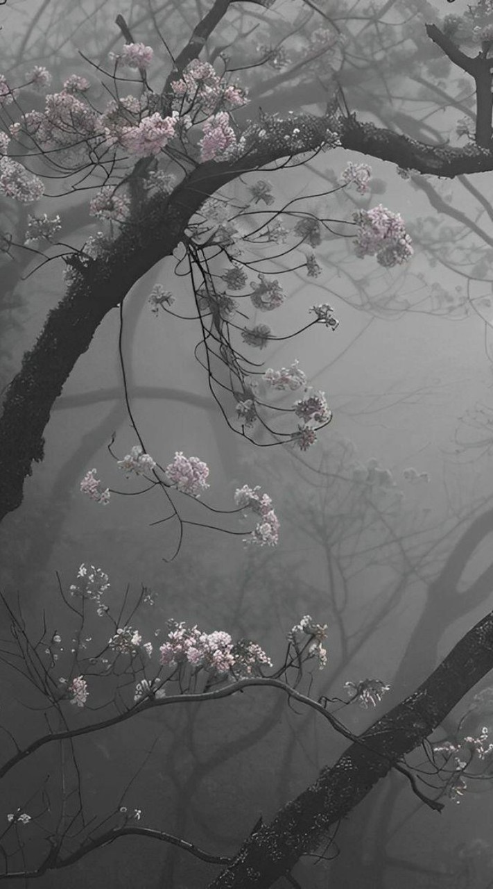 𓃭 𓇬⋆ ﾟ꩜‧˚𑁍ܓ𝐴𝑙𝑙 𝑢𝑛𝑖𝑣𝑒𝑟𝑠 4P((𝘙𝘗)) ⋆. 𐙚 ˚