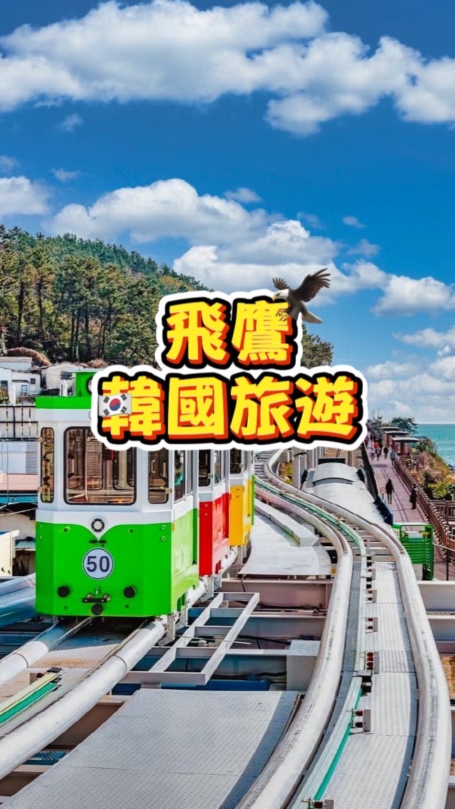 🦅飛鷹韓國旅遊🦅