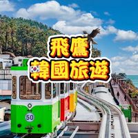🦅飛鷹韓國旅遊🦅