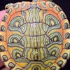 黃金龜培育中心粉絲群