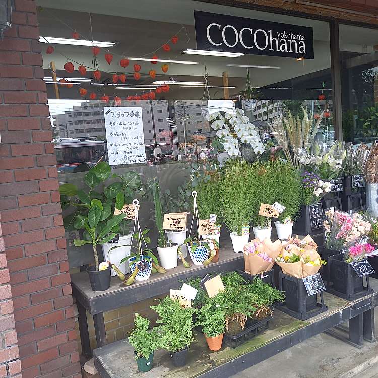 Cocohana 衣笠店 ココハナ キヌガサテン 衣笠栄町 衣笠駅 フラワーショップ By Line Place