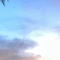 หางานภาคใต้