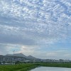 佳麗iHealth愛健康
