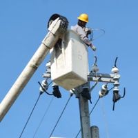 電電888888