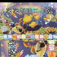 馨馨海水魚蝦螃蟹軟體寵物交流區