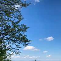 cafe 新潟&富山