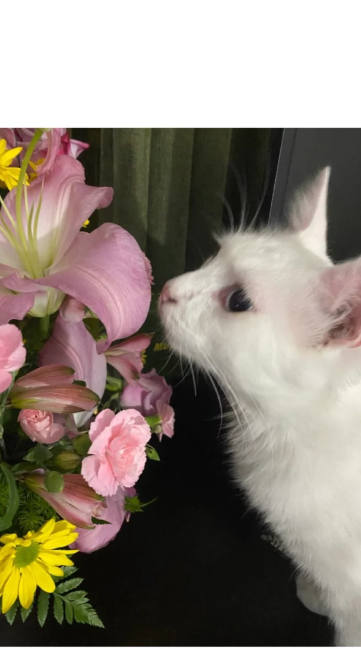🌻คุยเล่นน💐🌷