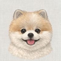 KIMACHI 韓國連線社群 🇰🇷