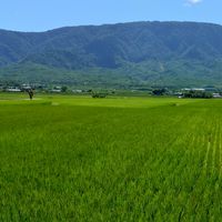 ChatGpt相關資訊